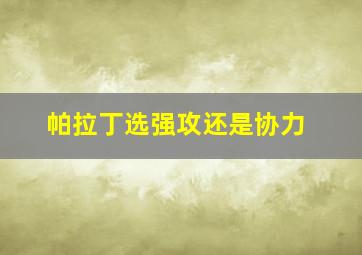 帕拉丁选强攻还是协力