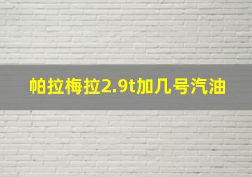 帕拉梅拉2.9t加几号汽油