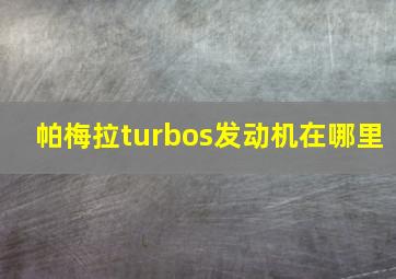 帕梅拉turbos发动机在哪里