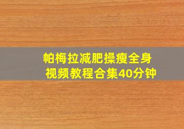 帕梅拉减肥操瘦全身视频教程合集40分钟