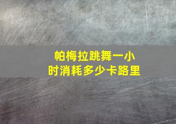 帕梅拉跳舞一小时消耗多少卡路里