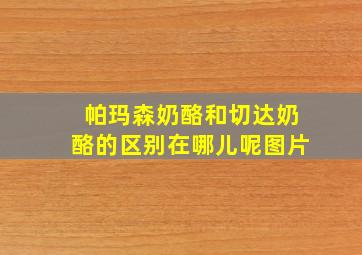 帕玛森奶酪和切达奶酪的区别在哪儿呢图片