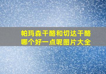 帕玛森干酪和切达干酪哪个好一点呢图片大全