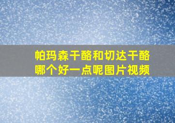 帕玛森干酪和切达干酪哪个好一点呢图片视频