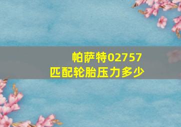 帕萨特02757匹配轮胎压力多少