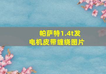 帕萨特1.4t发电机皮带缠绕图片