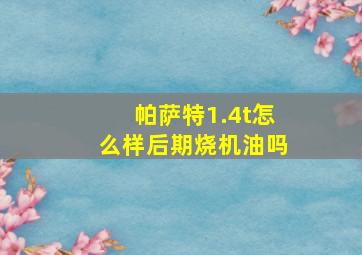 帕萨特1.4t怎么样后期烧机油吗