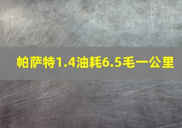 帕萨特1.4油耗6.5毛一公里