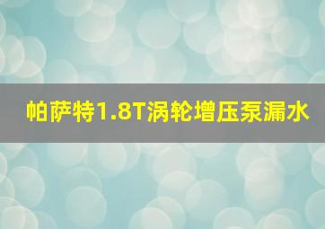 帕萨特1.8T涡轮增压泵漏水