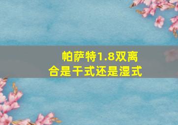 帕萨特1.8双离合是干式还是湿式