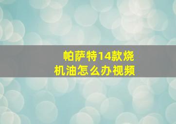 帕萨特14款烧机油怎么办视频