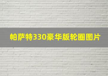 帕萨特330豪华版轮圈图片