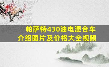 帕萨特430油电混合车介绍图片及价格大全视频