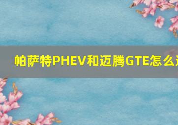 帕萨特PHEV和迈腾GTE怎么选