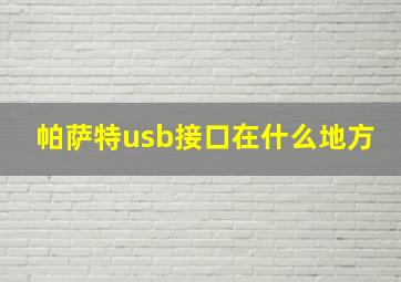 帕萨特usb接口在什么地方