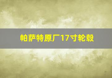 帕萨特原厂17寸轮毂