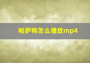 帕萨特怎么播放mp4