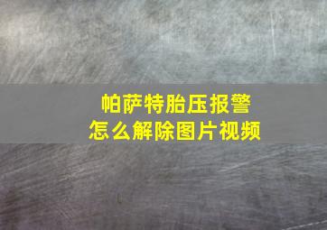 帕萨特胎压报警怎么解除图片视频