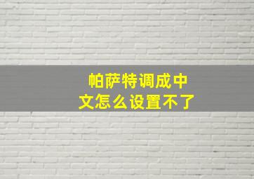 帕萨特调成中文怎么设置不了