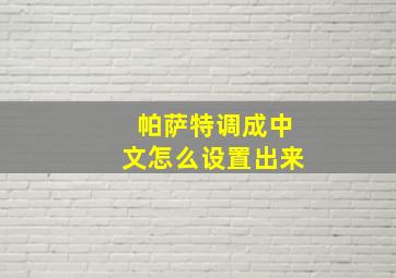 帕萨特调成中文怎么设置出来