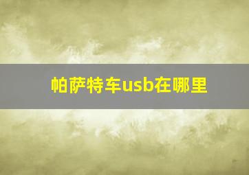 帕萨特车usb在哪里