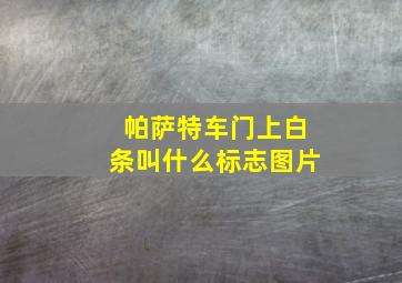 帕萨特车门上白条叫什么标志图片