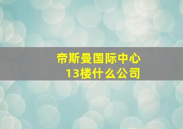 帝斯曼国际中心13楼什么公司