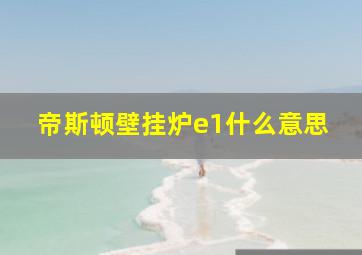 帝斯顿壁挂炉e1什么意思