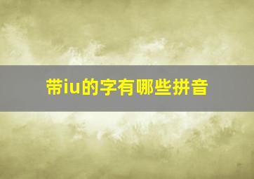 带iu的字有哪些拼音