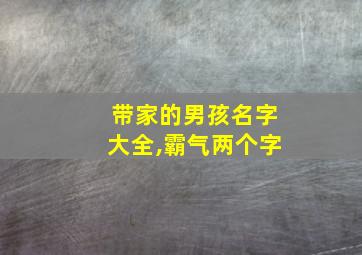 带家的男孩名字大全,霸气两个字