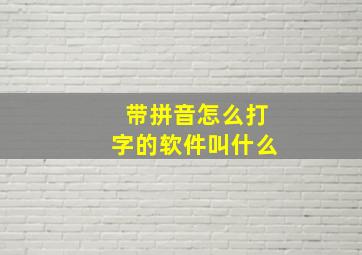 带拼音怎么打字的软件叫什么