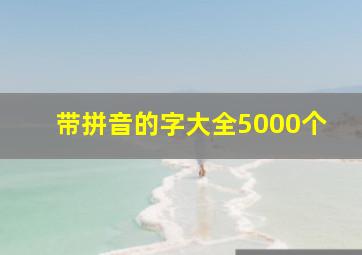 带拼音的字大全5000个