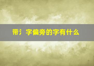 带氵字偏旁的字有什么