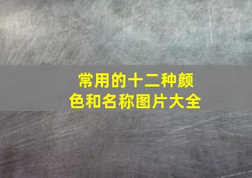 常用的十二种颜色和名称图片大全