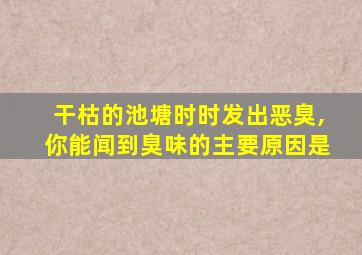 干枯的池塘时时发出恶臭,你能闻到臭味的主要原因是