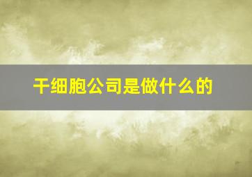 干细胞公司是做什么的