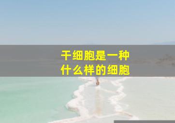 干细胞是一种什么样的细胞