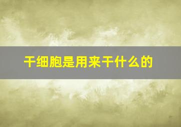 干细胞是用来干什么的