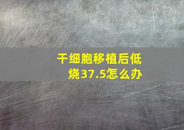 干细胞移植后低烧37.5怎么办