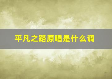 平凡之路原唱是什么调