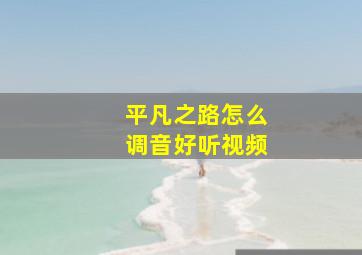 平凡之路怎么调音好听视频