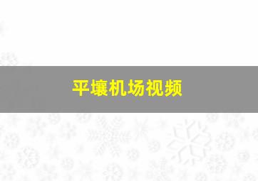 平壤机场视频