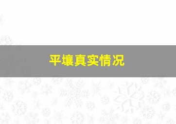 平壤真实情况