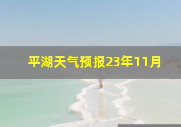 平湖天气预报23年11月