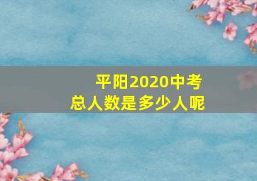 平阳2020中考总人数是多少人呢