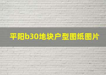 平阳b30地块户型图纸图片