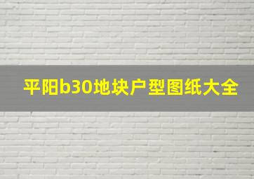 平阳b30地块户型图纸大全