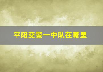 平阳交警一中队在哪里