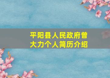 平阳县人民政府曾大力个人简历介绍