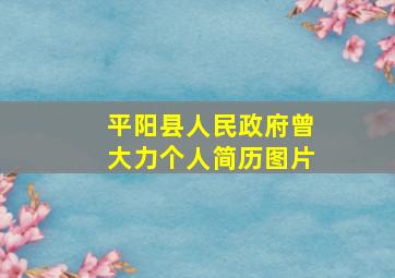 平阳县人民政府曾大力个人简历图片